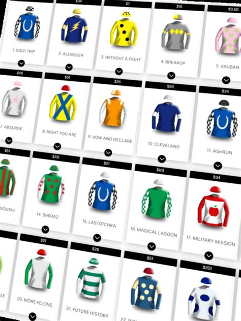 Melbourne Cup 2021 Sweepstakes Kit .
